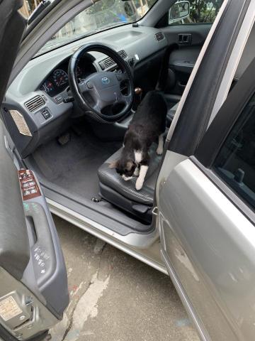 Minren - 汽車陪練 - 