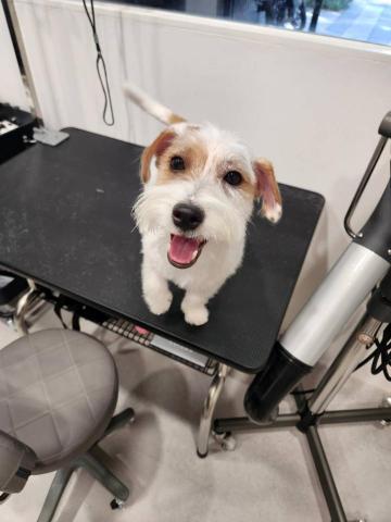 羅玉琪 - 洗完澡舒服的笑容