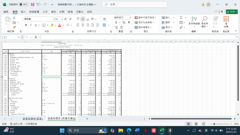 黃文俞 - 財報製作
