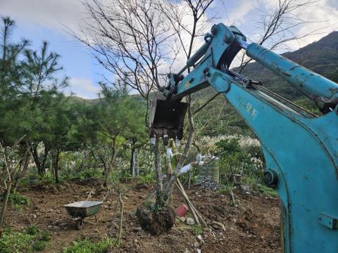 牧軒園藝 - 樹木種植