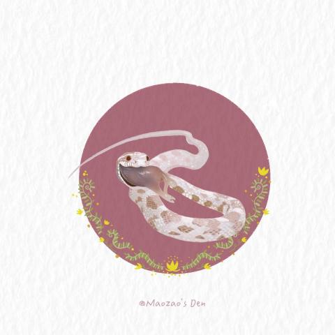 moo - 寵物畫像_玉米蛇