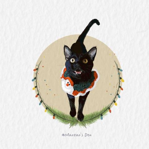 moo - 寵物畫像-黑貓