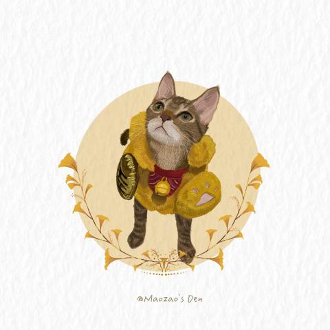 moo - 寵物畫像-虎斑貓
