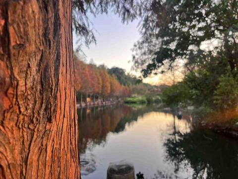 譚伊玹 - 熱愛大自然的人