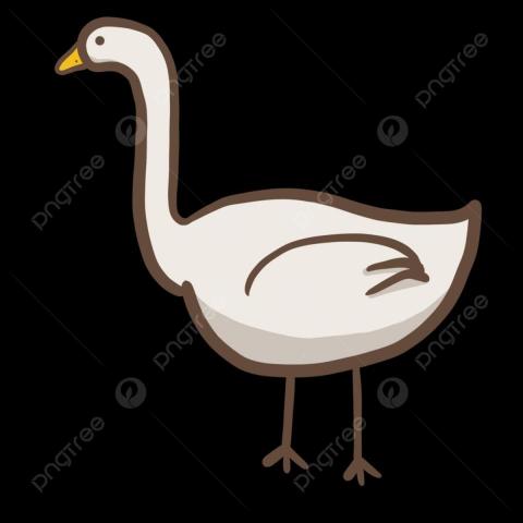 提供線上家教服務的專家鵝