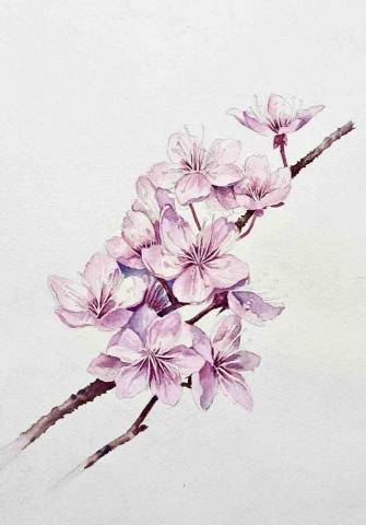 林彥伶 - 水彩作品