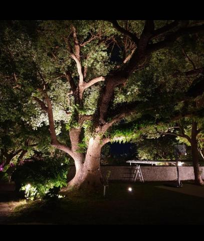 傳承水電工程 - 戶外燈工程