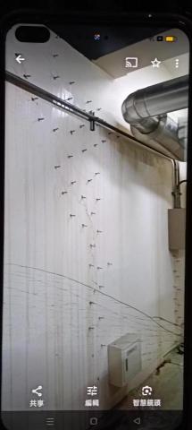 薛 - 永和永平路地下停車場空心灌注
重新批土油漆