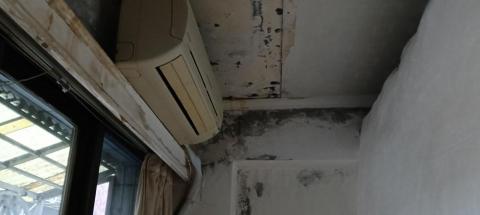 薛 - 羅斯福路四段4樓，整層出租公寓四樓
靠窗天花板壁癌修補