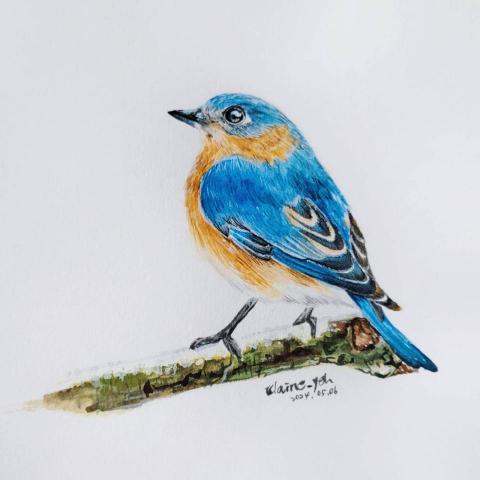 葉金蓓 - 水彩繪製