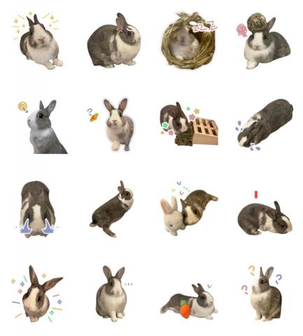 Sandrella - Line動物貼圖