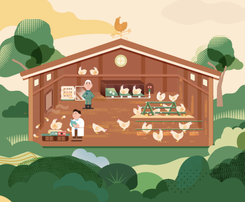 BirdieStudio - 亦然牧場 | 品牌網站插畫設計