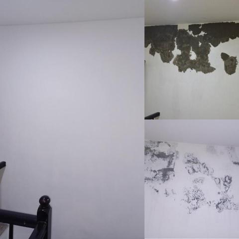 工程行 - 牆面壁癌處理 工程行 - 牆面壁癌處理