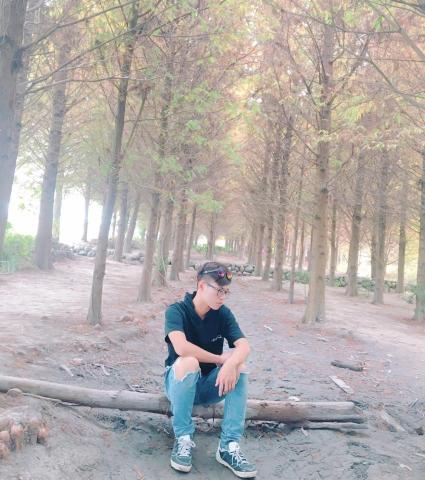 雲雅（浮雲） - 汽車駕照自排