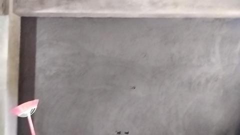 鄭松茂 - 粗底完成面