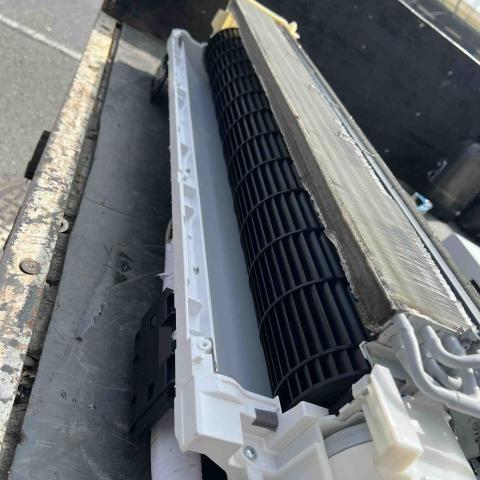 楊東倫 - 清洗後