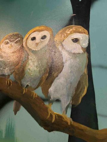 圓築藝術工程 - 