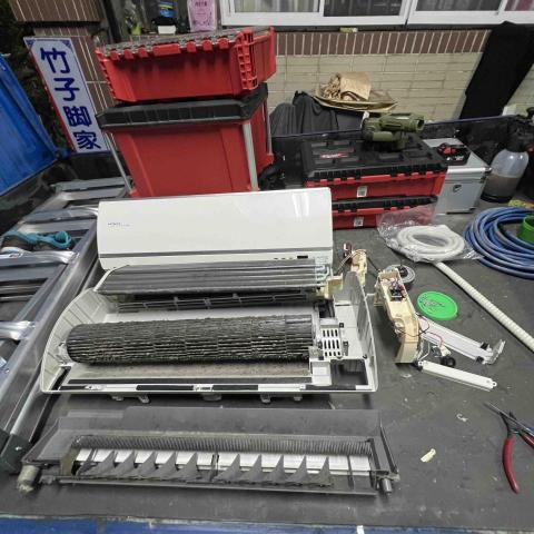 楊東倫 - 清洗前