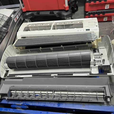 楊東倫 - 清洗後