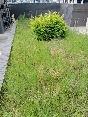 悠然景觀有限公司 - 作業前