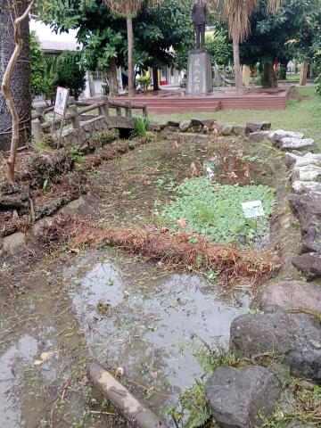 悠然景觀有限公司 - 生態池作業後