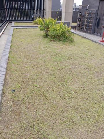 悠然景觀有限公司 - 作業後