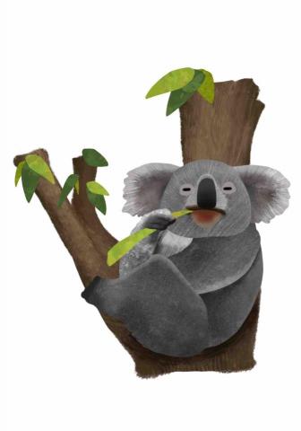 王思驊 - 動物插畫