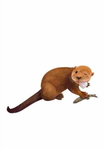 王思驊 - 動物插畫