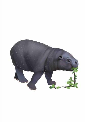 王思驊 - 動物插畫