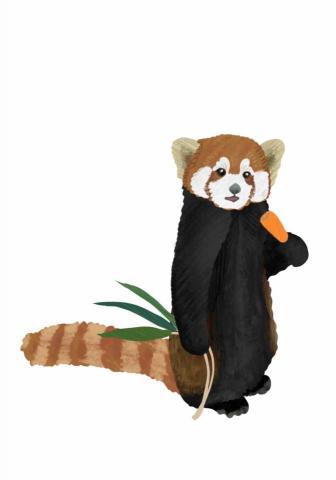 王思驊 - 動物插畫