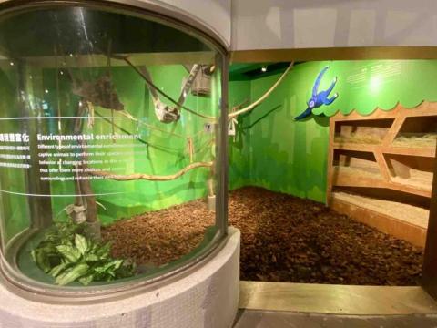 王思驊 - 台北市立動物園「動物福利小站」展場設計及繪製