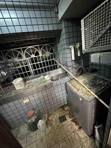 妃彤小可清潔工作室 - 特殊清潔 與鳥屎奮戰