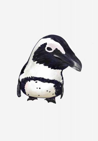 王思驊 - 動物插畫