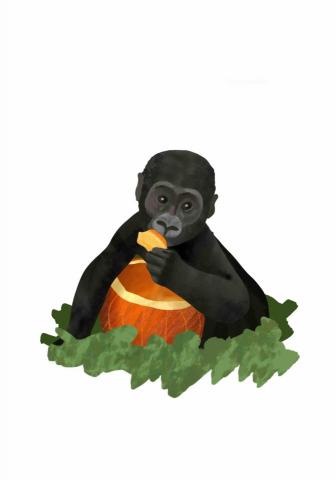 王思驊 - 動物插畫