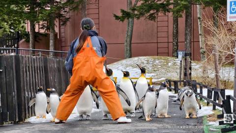 曾晞遨（勝軍老師達人帶路） - 
