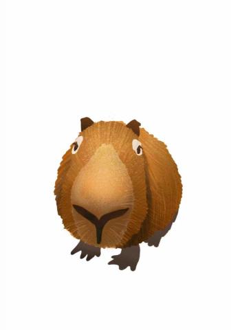 王思驊 - 動物插畫