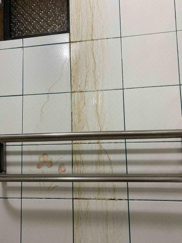 妃彤小可清潔工作室 - 