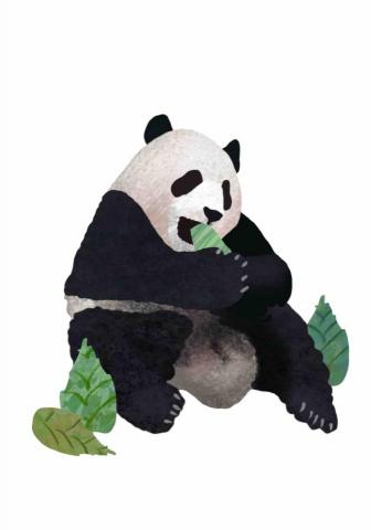 王思驊 - 動物插畫