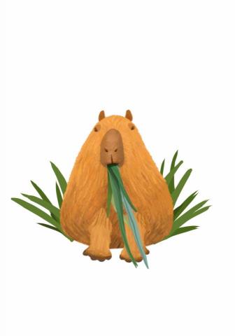 王思驊 - 動物插畫