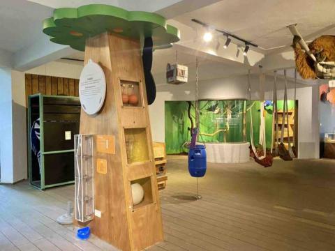 王思驊 - 台北市立動物園「動物福利小站」展場設計及繪製