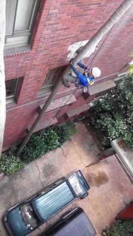 特佳屋 - 外牆蜘蛛人