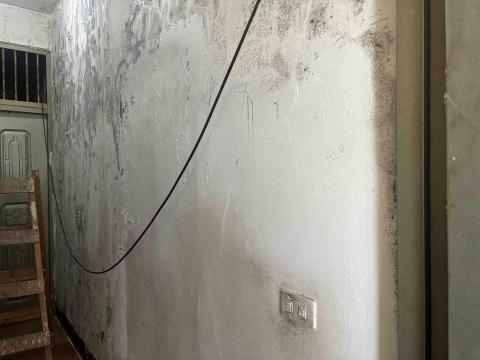 東東專業油漆工作室 - 壁癌施工前