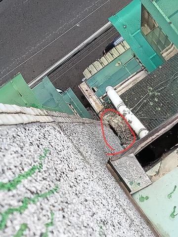 銘亮清潔工程行 - 板橋住戶長時間壁癌，經抓漏 已解決問題