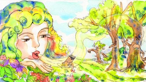 Sheena  - 插畫