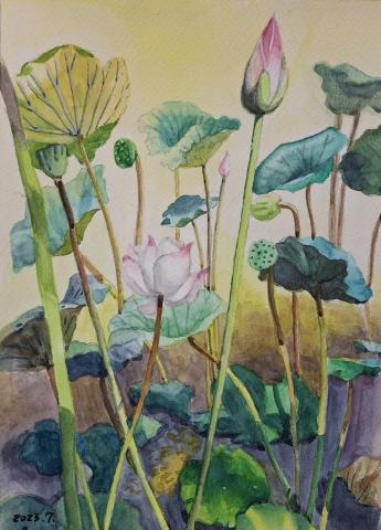 Austine Yang - 秋荷，水彩