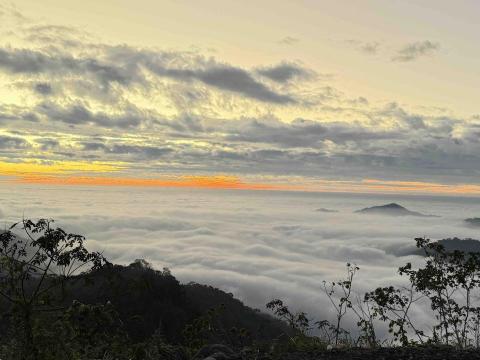 陳森洋 - 阿里山雲海