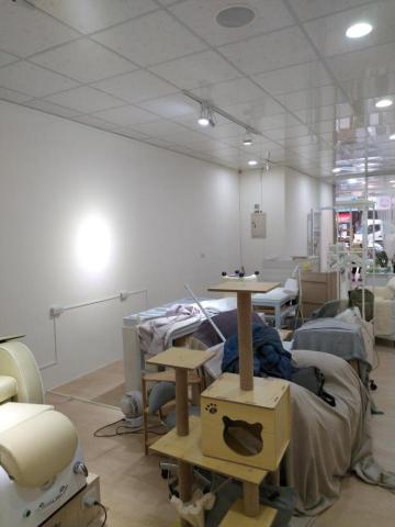 易與油漆工程 - 