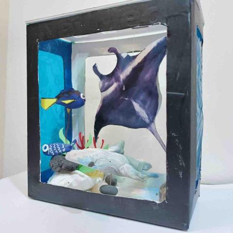 林品妤（小燕子老師） - 