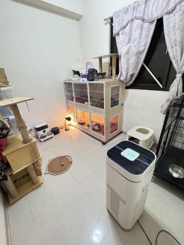 可愛貓奴家 - 環境乾淨