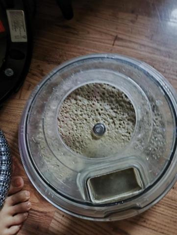 潔悅居清 - 這是是使用了五年的沙發，第一次除塵蟎，清出來除了髒污以外，水完全是污水，這還只是拍打除塵蟎而不是清洗出來的髒污，是非常嚴重的程度，建議大家每二~三個月可以定期除塵蟎一次。